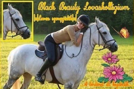 Black Beauty ||Lovaspark||
